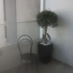 The